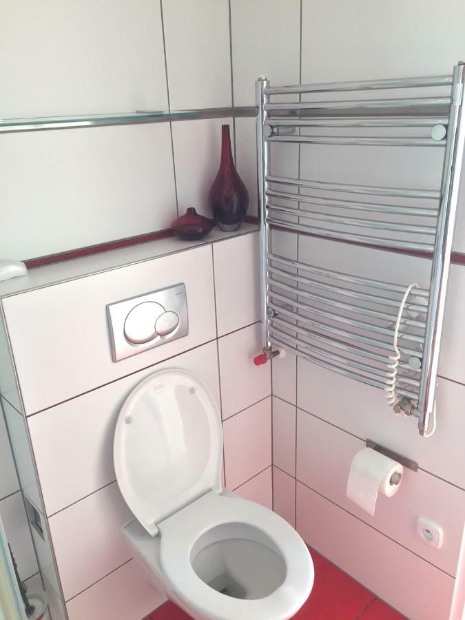 Krasny Apartman U Lesa, Trolejbus Do Centra A Bvv, Parkovani Zdarma Brno Dış mekan fotoğraf